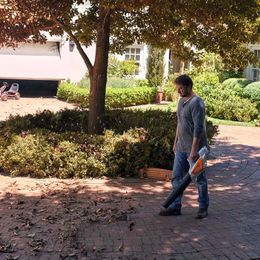 Stihl Blasgeräte und Saughäcksler